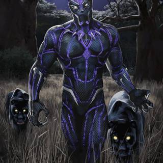 Black Panther 4k Android wallpaper