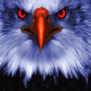 Red eyes 4k wallpaper