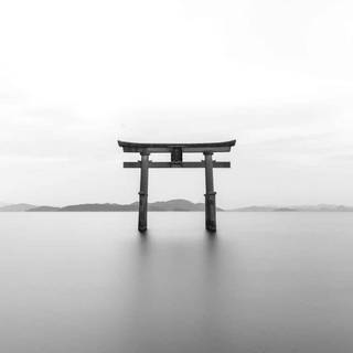 Japanese Torii Gate wallpaper