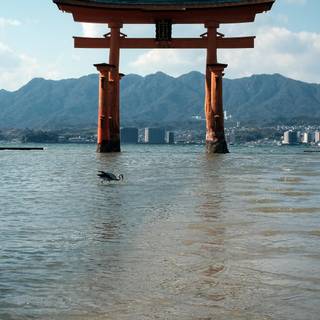 Tori Gate 4k wallpaper