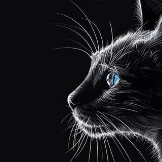 Cat profile wallpaper