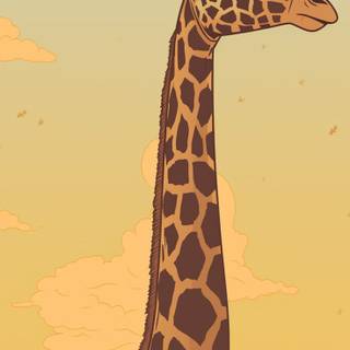 Giraffe iPhone wallpaper