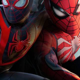 Marvel Spider-Man iPhone wallpaper