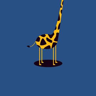 Giraffe iPhone wallpaper