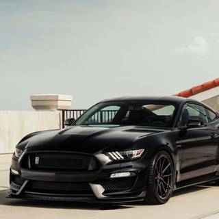 Black Mustang iPhone wallpaper