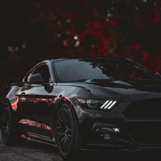 Black Mustang iPhone wallpaper