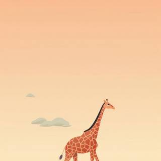Giraffe iPhone wallpaper