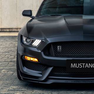 Black Mustang iPhone wallpaper