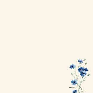 Simple aesthetic phone wallpaper