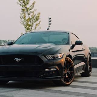 Mustang 8k wallpaper