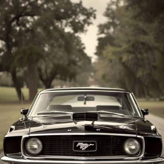 Black Mustang iPhone wallpaper