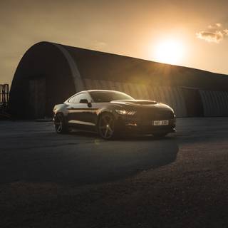 Black Mustang iPhone wallpaper