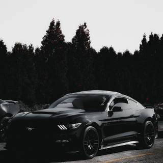 Black Mustang iPhone wallpaper