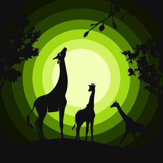 Giraffe iPhone wallpaper