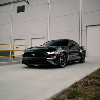 Black Mustang iPhone wallpaper