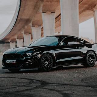 Black Mustang iPhone wallpaper