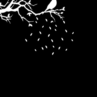 iPhone black amoled wallpaper