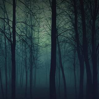 Foggy iPhone wallpaper