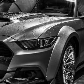 Black Mustang iPhone wallpaper