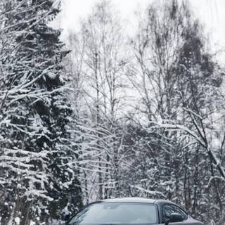 Black Mustang iPhone wallpaper