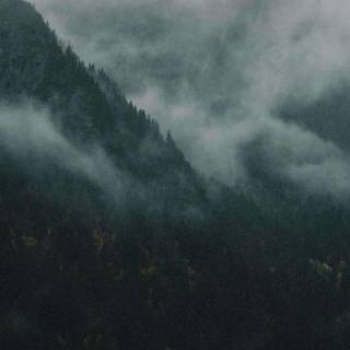 Foggy iPhone wallpaper