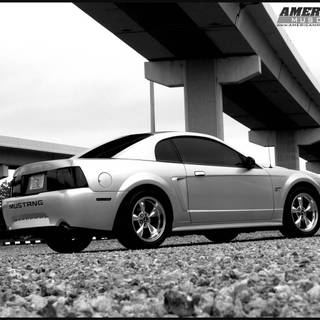 1999 Ford Mustang wallpaper
