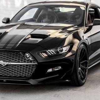 Black Mustang iPhone wallpaper