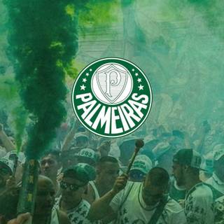 Palmeiras iPhone wallpaper