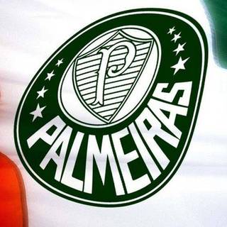 Palmeiras iPhone wallpaper
