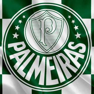 Palmeiras iPhone wallpaper