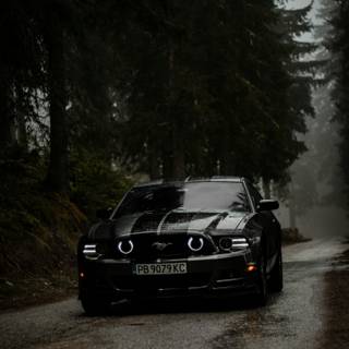 Black Mustang iPhone wallpaper