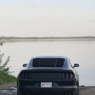 Black Mustang iPhone wallpaper