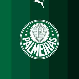 Palmeiras iPhone wallpaper