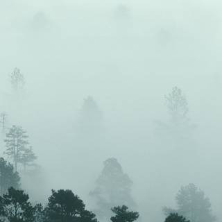 Foggy iPhone wallpaper