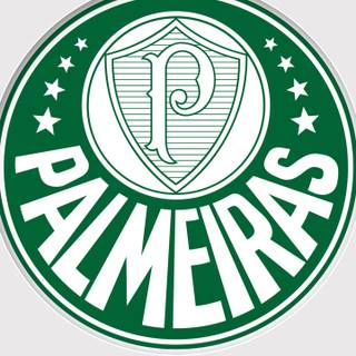 Palmeiras iPhone wallpaper