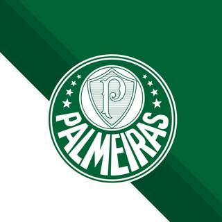 Palmeiras iPhone wallpaper
