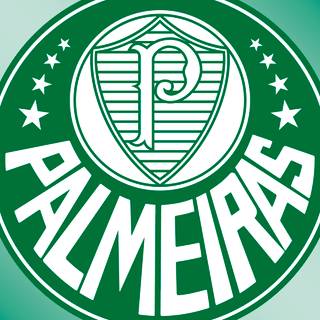 Palmeiras iPhone wallpaper
