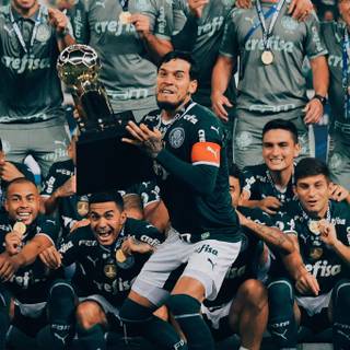 Palmeiras iPhone wallpaper