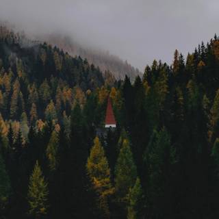 Foggy iPhone wallpaper