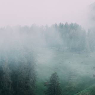 Foggy iPhone wallpaper
