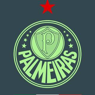 Palmeiras iPhone wallpaper