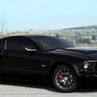 Black Mustang iPhone wallpaper