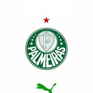 Palmeiras iPhone wallpaper