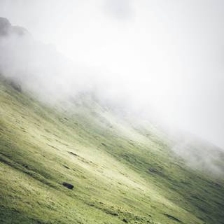 Foggy iPhone wallpaper