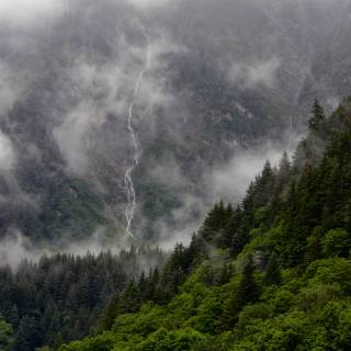 Foggy iPhone wallpaper