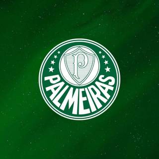 Palmeiras iPhone wallpaper