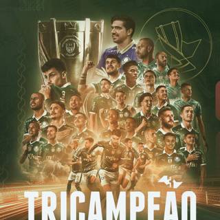 Palmeiras iPhone wallpaper