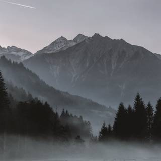 Foggy iPhone wallpaper