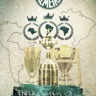 Palmeiras iPhone wallpaper