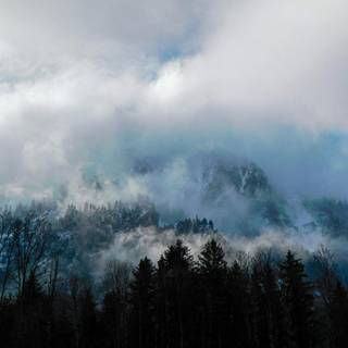 Foggy winter landscape wallpaper